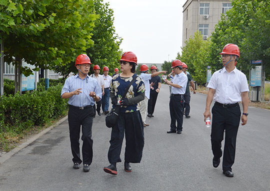 河南省建设厅科技处处长张瑛一行莅临工业园指导工作